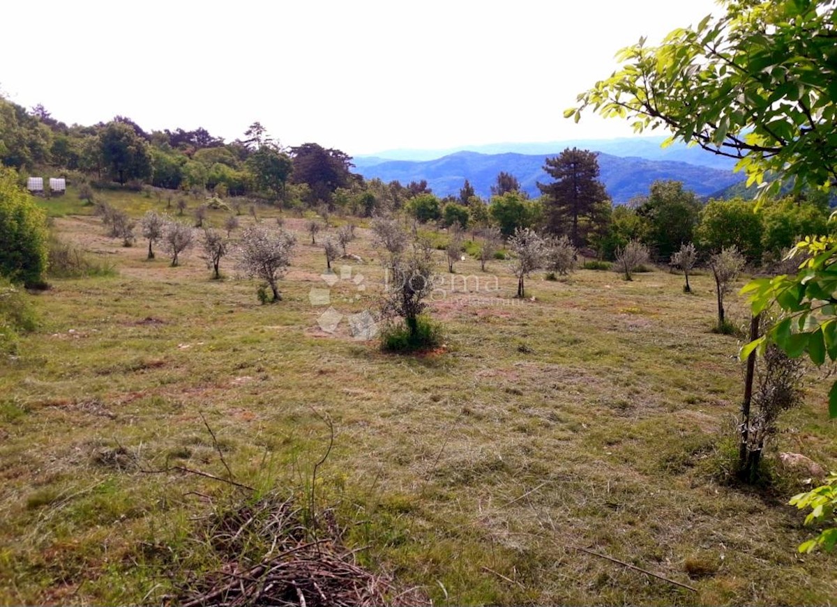 Terreno In vendita - ISTARSKA OPRTALJ