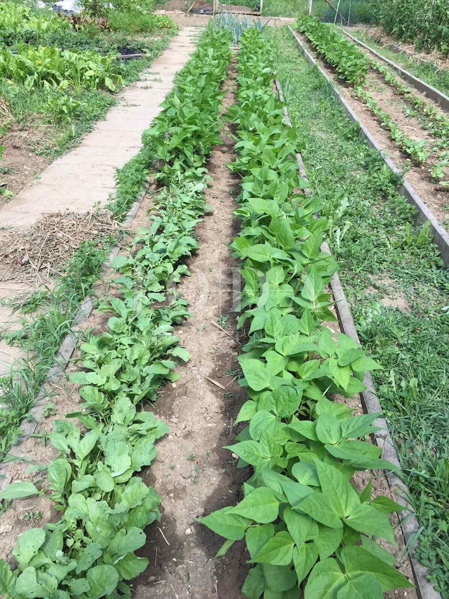 Terreno In vendita - PRIMORSKO-GORANSKA VINODOLSKA OPĆINA