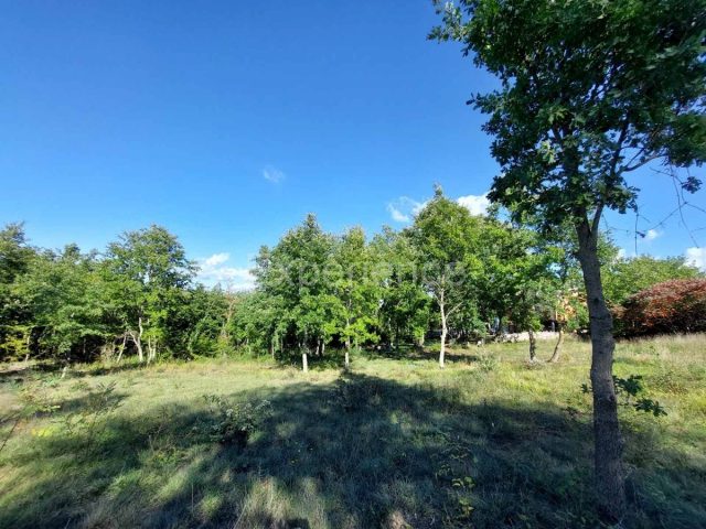 Land for sale 3337 m² – Višnjan