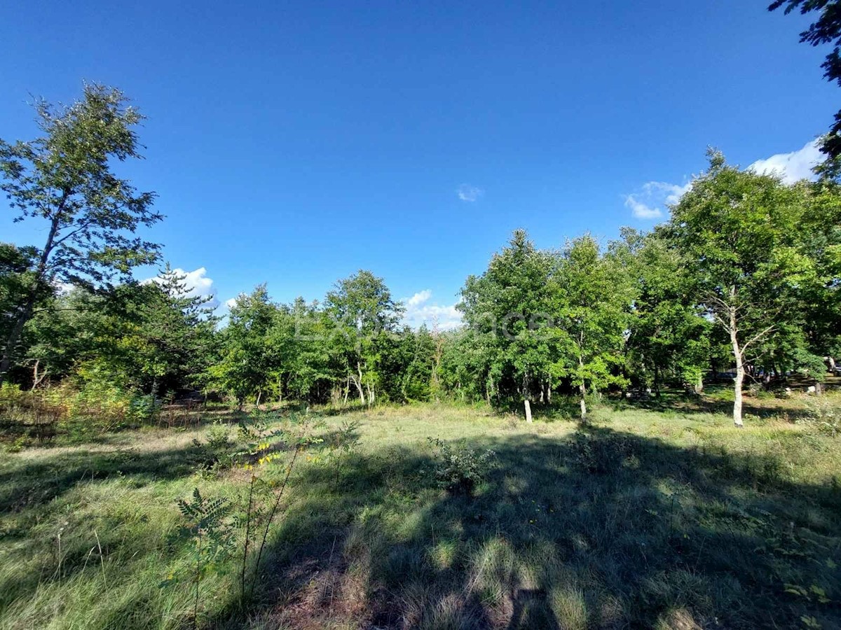 Terreno In vendita - ISTARSKA VIŠNJAN