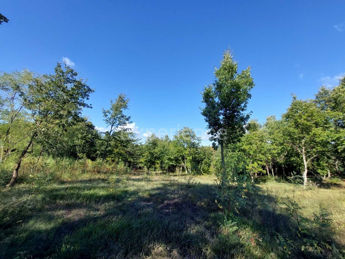 Terreno In vendita - ISTARSKA VIŠNJAN