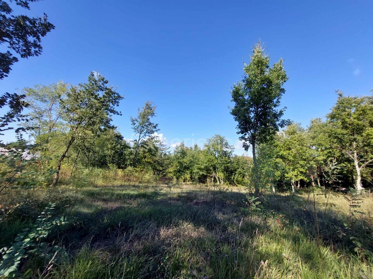 Terreno In vendita - ISTARSKA VIŠNJAN