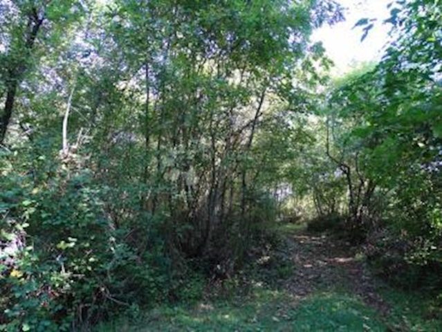 Zemljište na prodaju 4814 m² – Veprinac