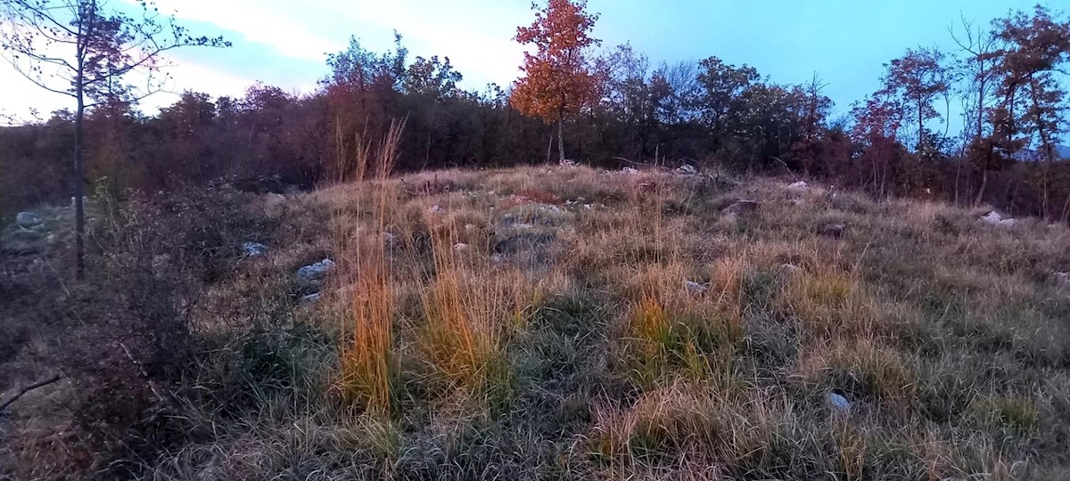 Land For sale - PRIMORSKO-GORANSKA KLANA