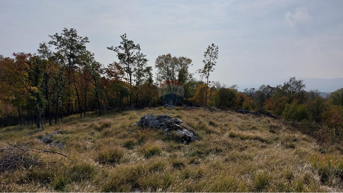 Land For sale - Primorsko-goranska Klana - foto 5/23