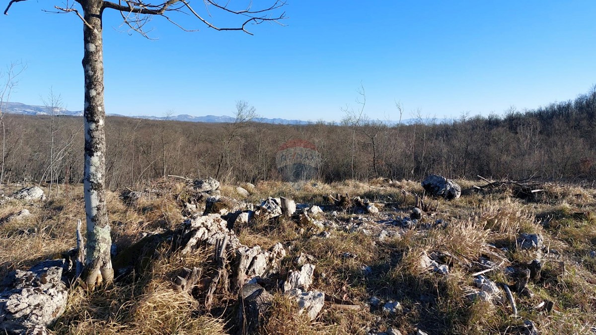 Land For sale - PRIMORSKO-GORANSKA KLANA