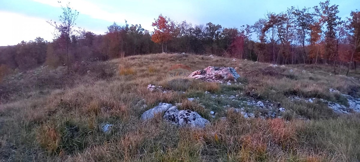 Land For sale - PRIMORSKO-GORANSKA KLANA