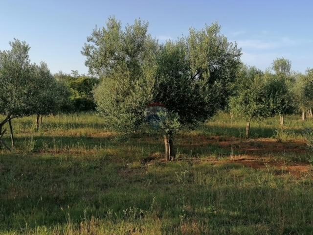 Terreno In vendita - Istarska Vodnjan - foto 2/8