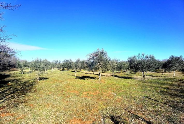 Terreno In vendita - Istarska Vodnjan - foto 3/8