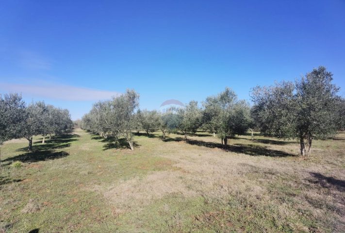 Terreno In vendita - Istarska Vodnjan - foto 4/8