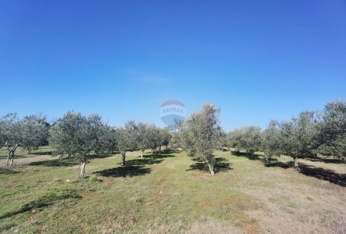 Terreno In vendita - Istarska Vodnjan - foto 5/8