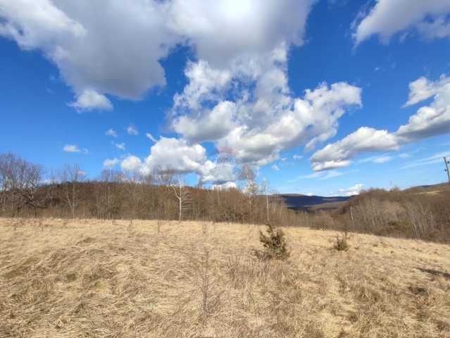 Land for sale 4820 m² – Ljubošina