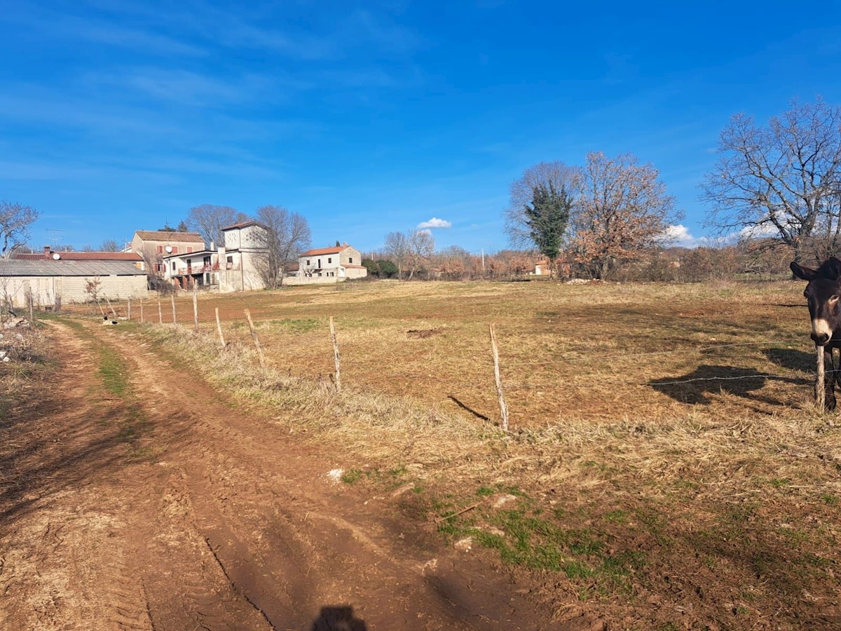 Zemljište Na prodaju - ISTARSKA VIŠNJAN