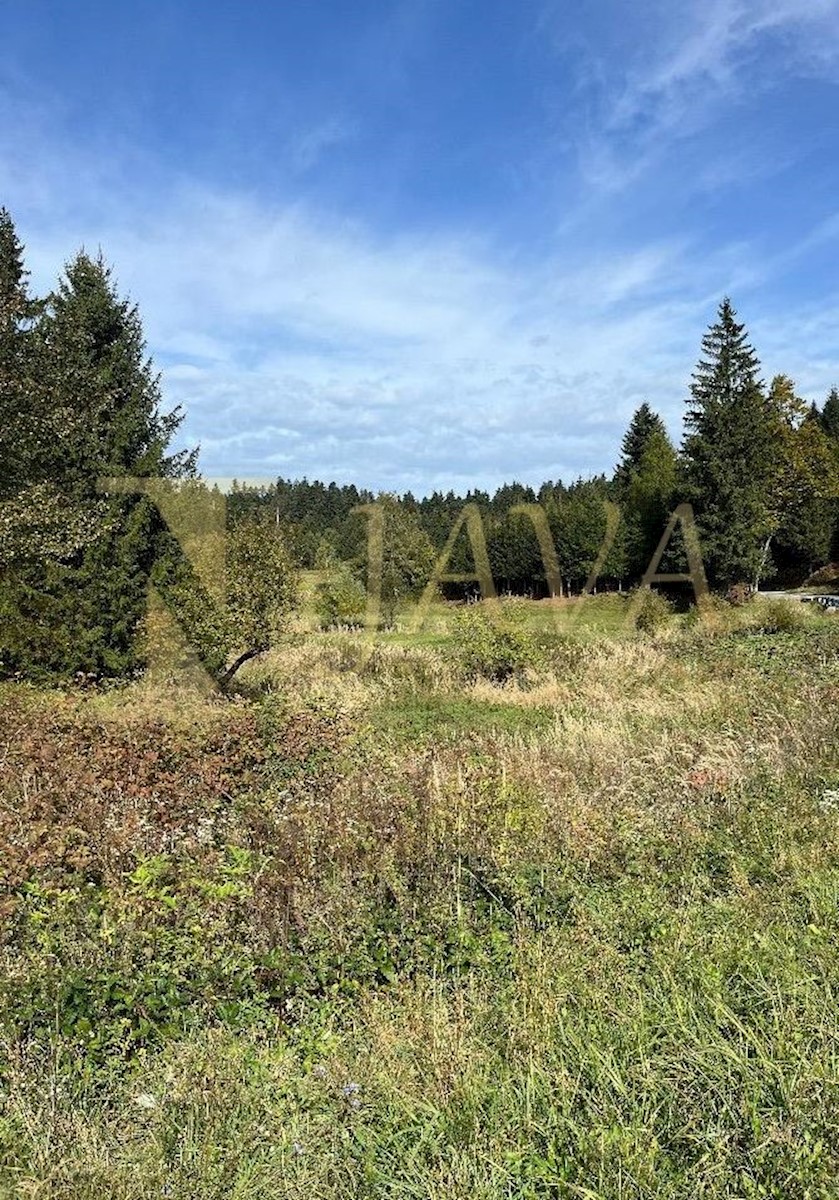 Land For sale CRNI LUG