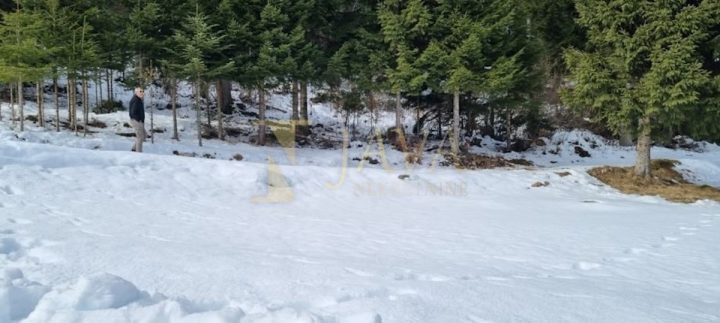 Pozemek Na prodej - Primorsko-goranska čabar - foto 2/5