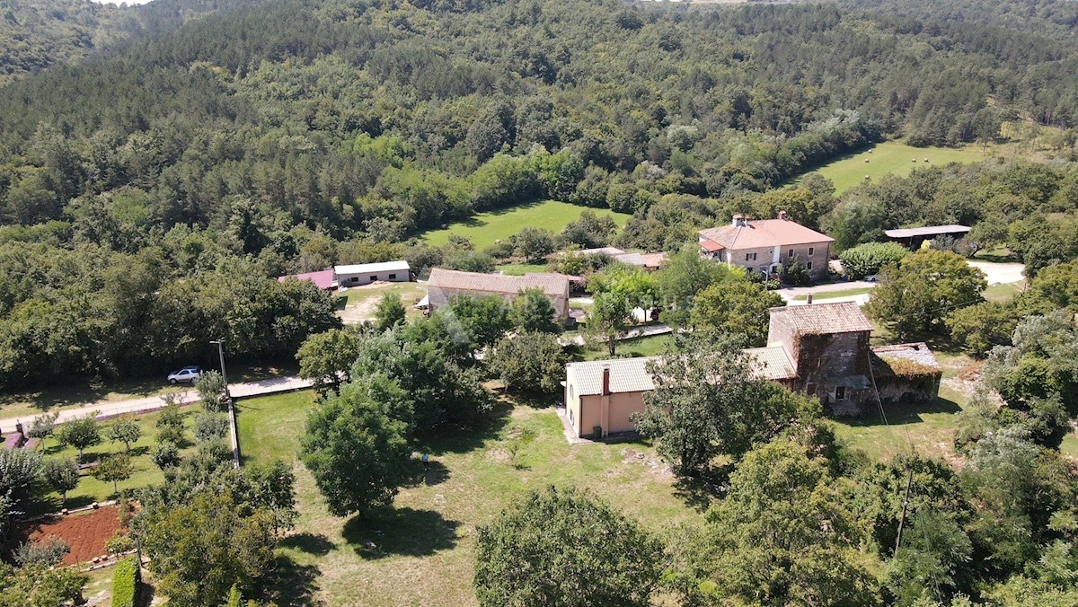 Zemljište Na prodaju - ISTARSKA GROŽNJAN