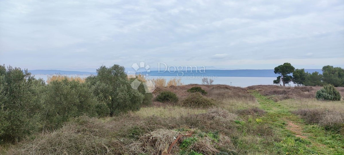 Land For sale - ZADARSKA PAŠMAN