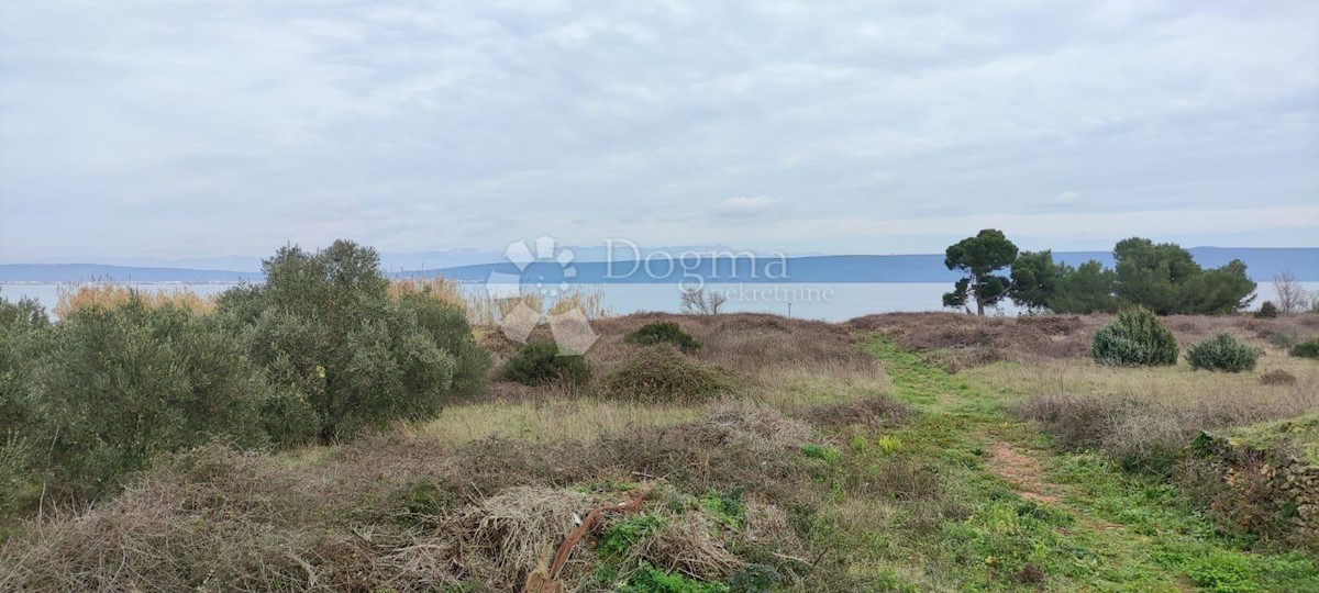 Land For sale - ZADARSKA PAŠMAN