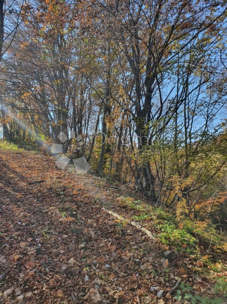 Zemljište Na prodaju MODRUŠ