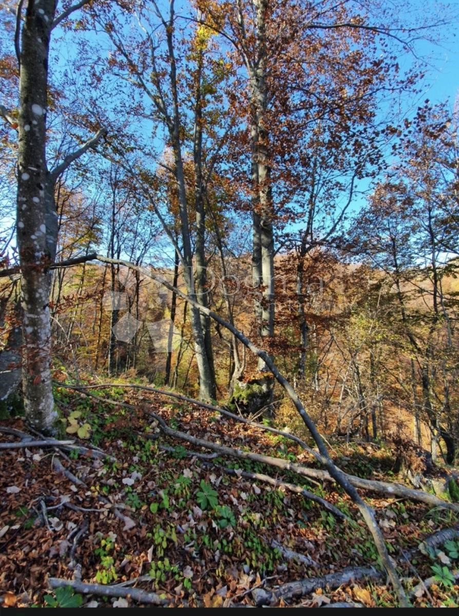 Zemljište Na prodaju - KARLOVAČKA JOSIPDOL