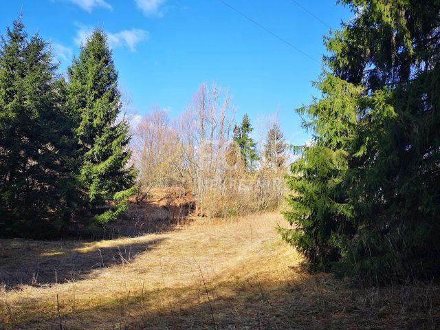 Terrain à vendre 22210 m² – Lokve