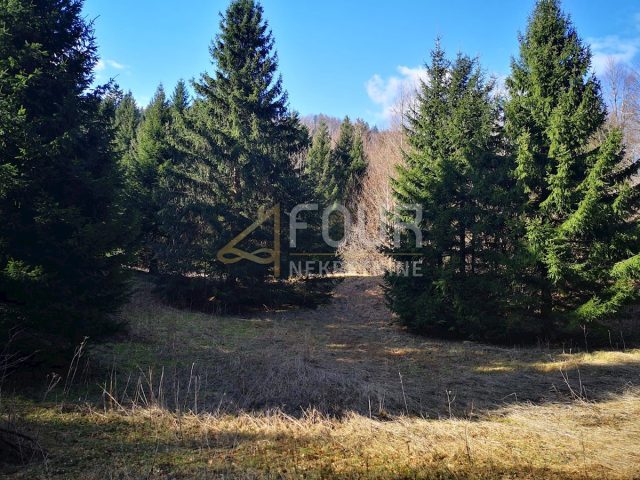 Land For sale - Primorsko-goranska Lokve - foto 4/6