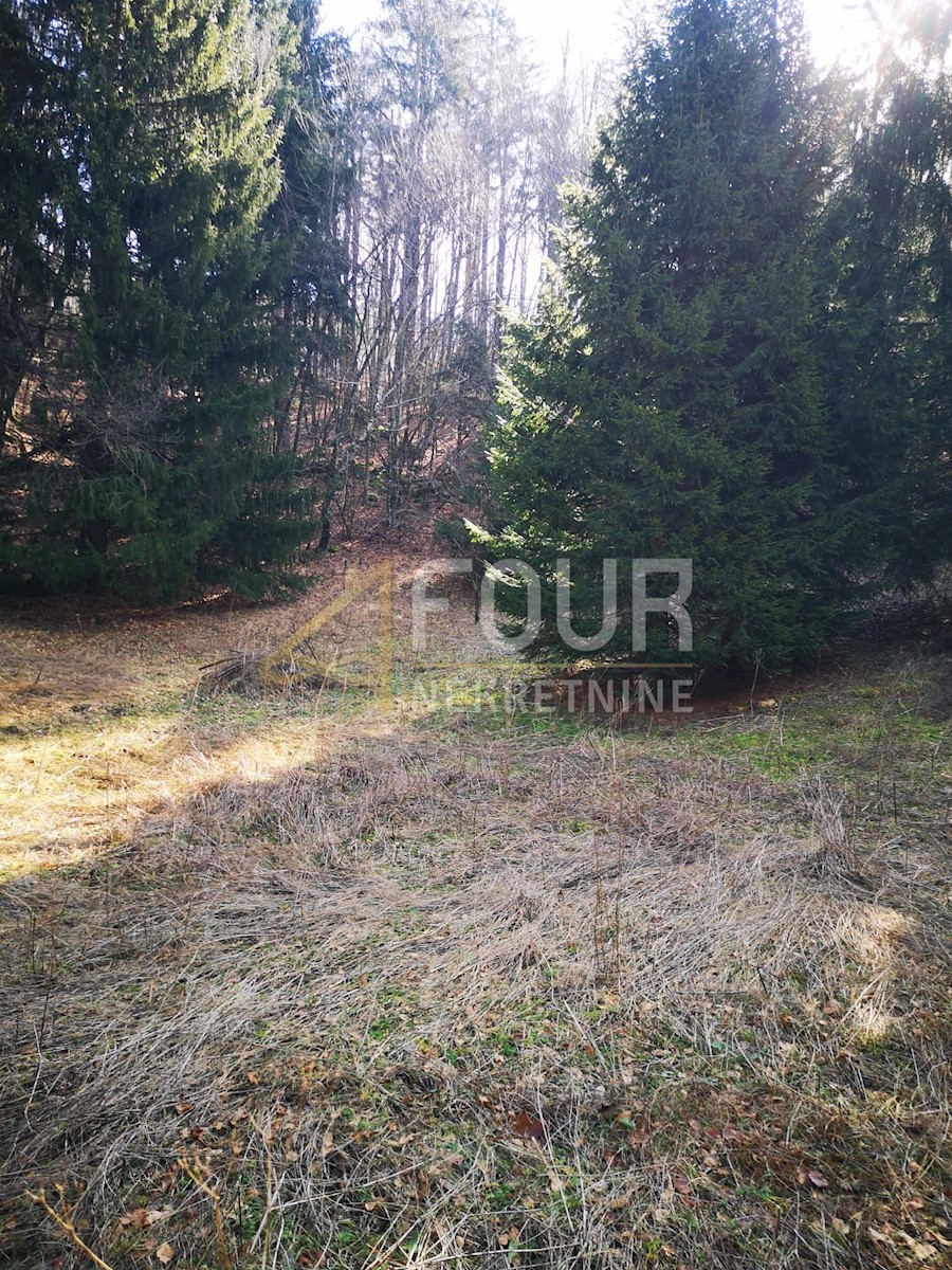 Land For sale - PRIMORSKO-GORANSKA Lokve