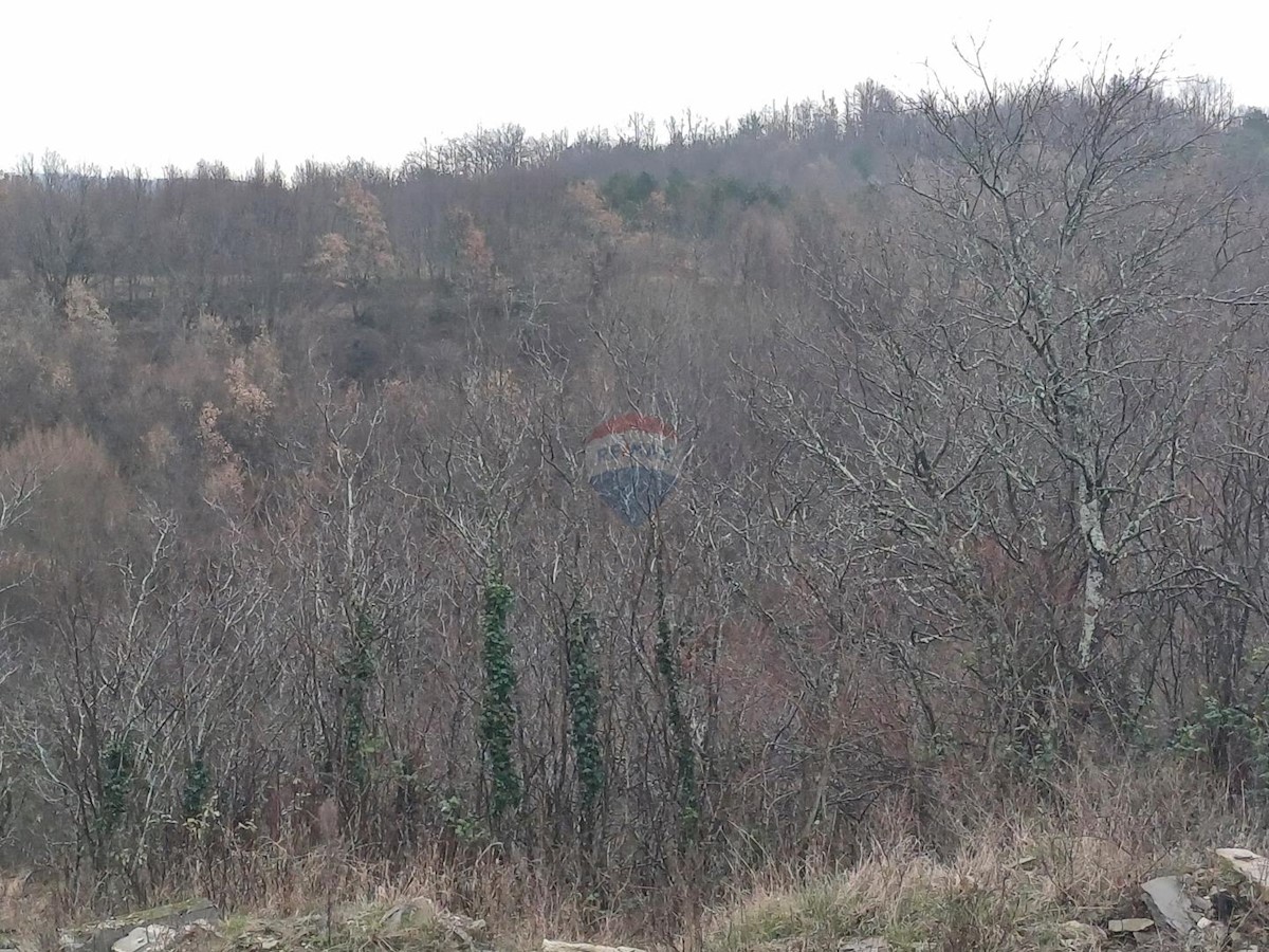 Haus Zu verkaufen - ISTARSKA BUJE