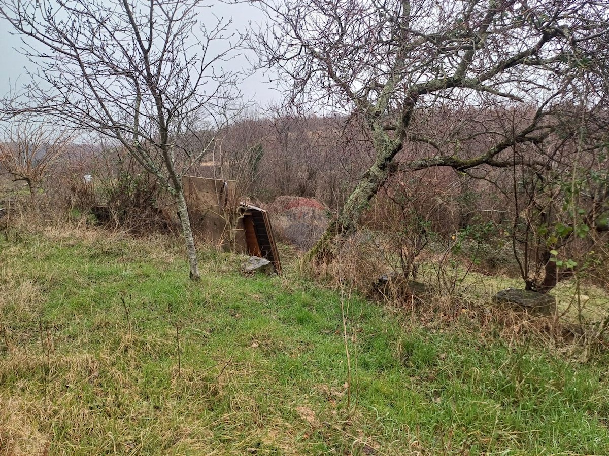 Haus Zu verkaufen - ISTARSKA BUJE