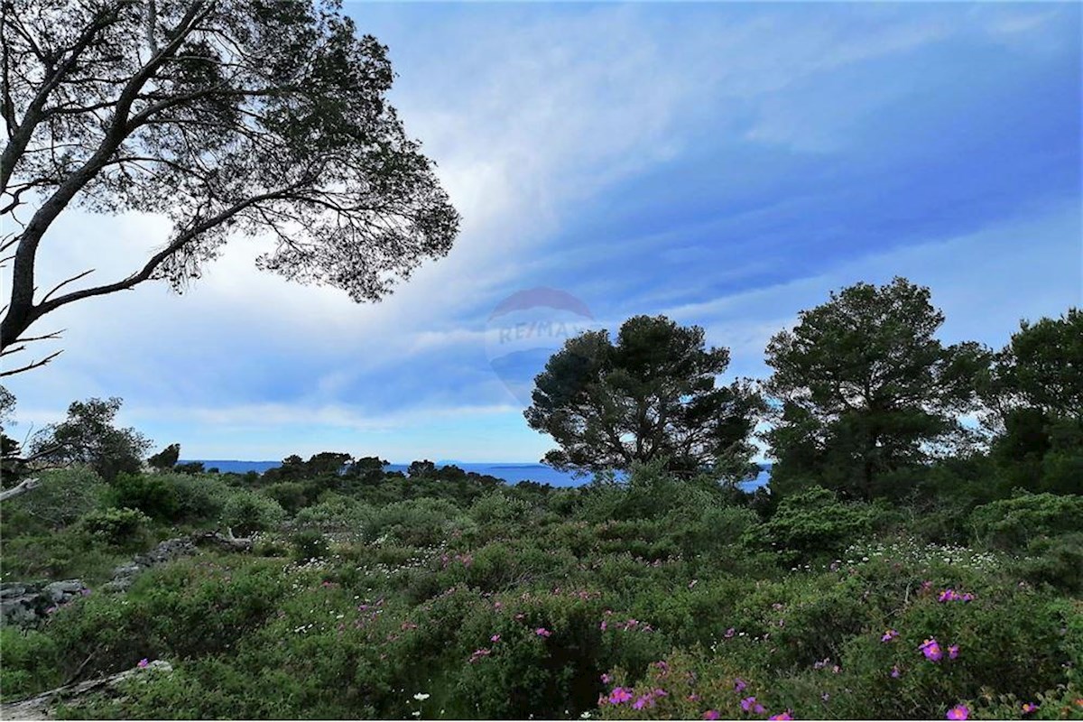 Terreno In vendita