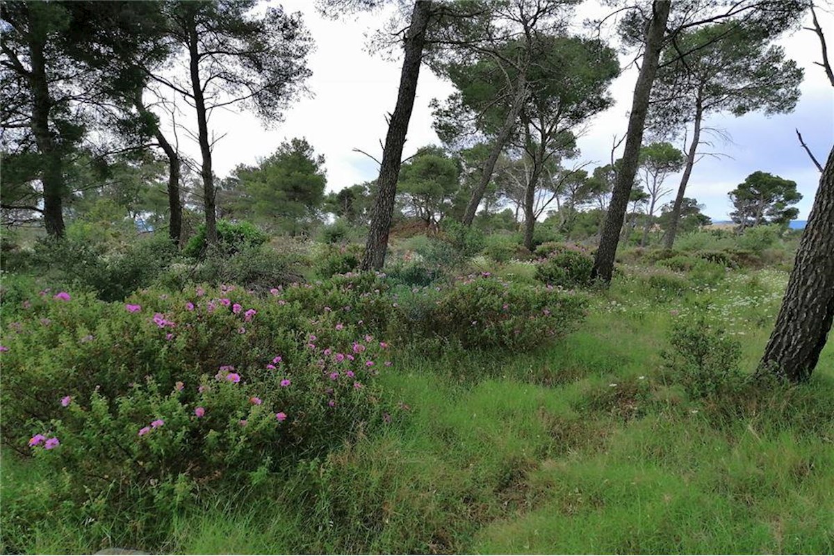 Land For sale - SPLITSKO-DALMATINSKA TROGIR