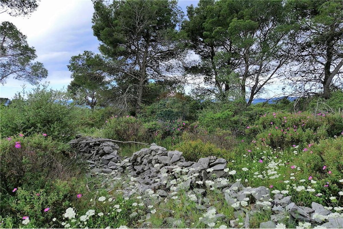 Land For sale - SPLITSKO-DALMATINSKA TROGIR