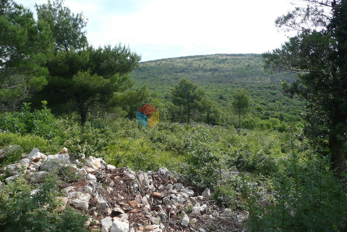 Land For sale - ISTARSKA RAŠA