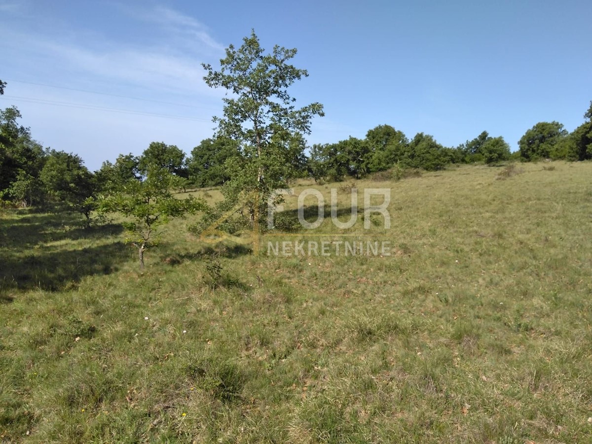 Land For sale - ISTARSKA VIŠNJAN