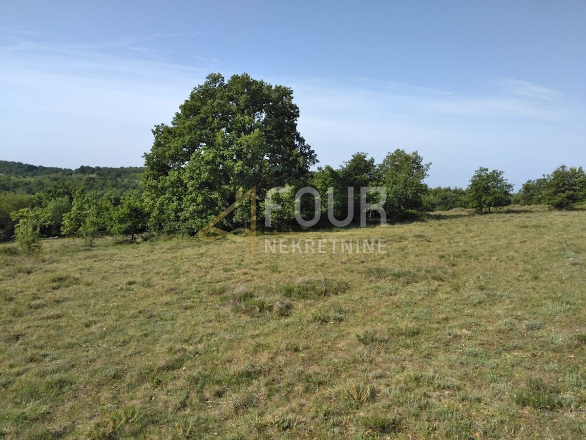 Land For sale - ISTARSKA VIŠNJAN