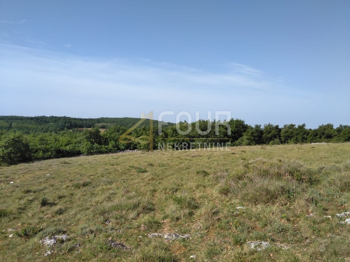 Land For sale - ISTARSKA VIŠNJAN