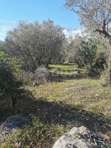 Land For sale - Primorsko-goranska Krk - foto 3/4