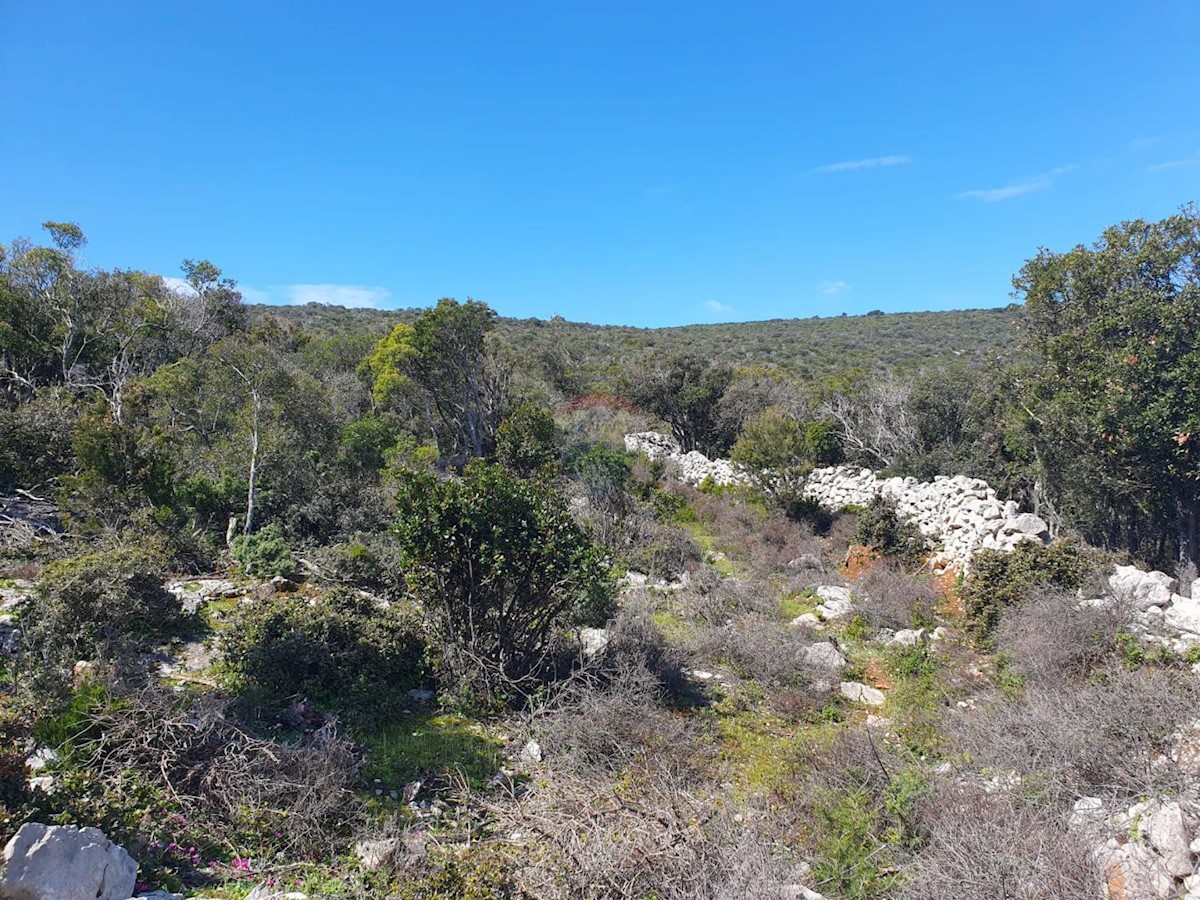 Land For sale - PRIMORSKO-GORANSKA MALI LOŠINJ