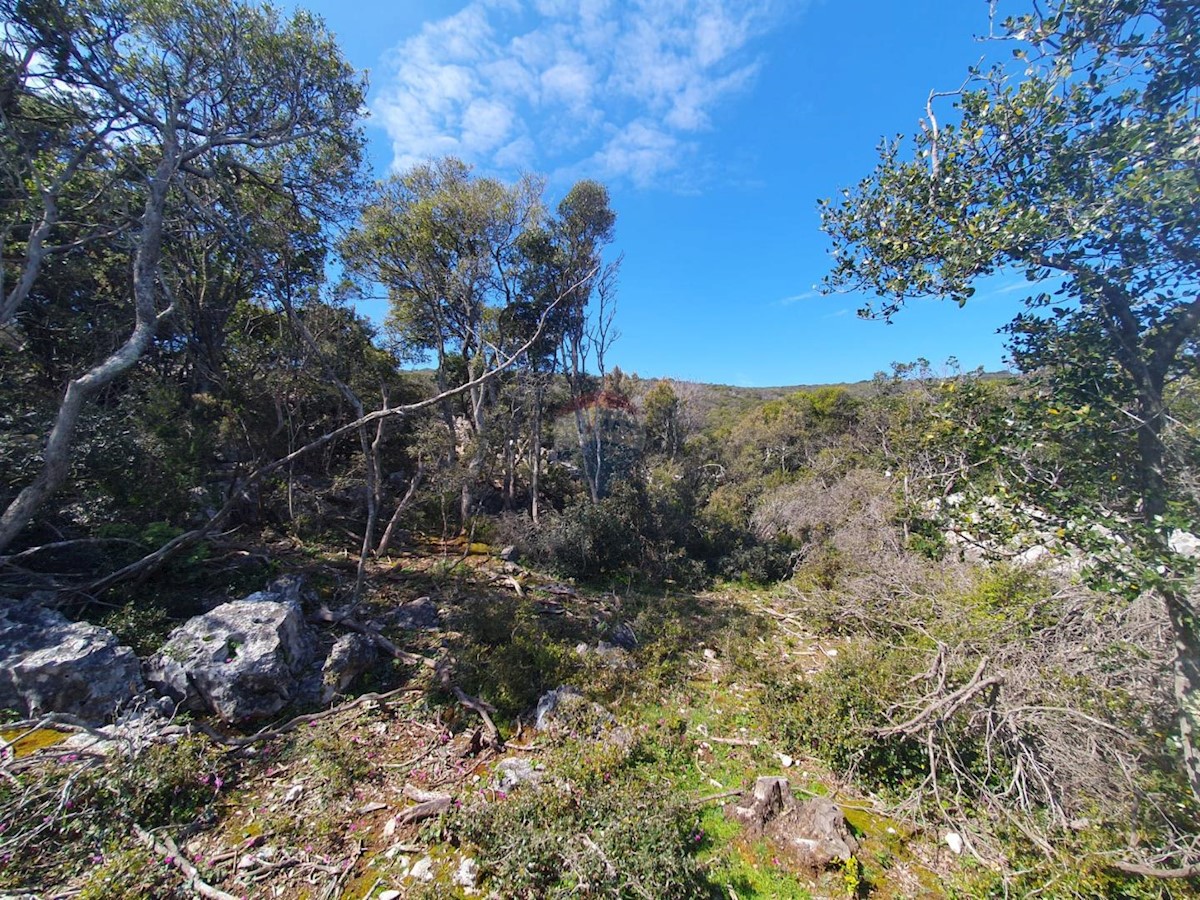 Land For sale - PRIMORSKO-GORANSKA MALI LOŠINJ