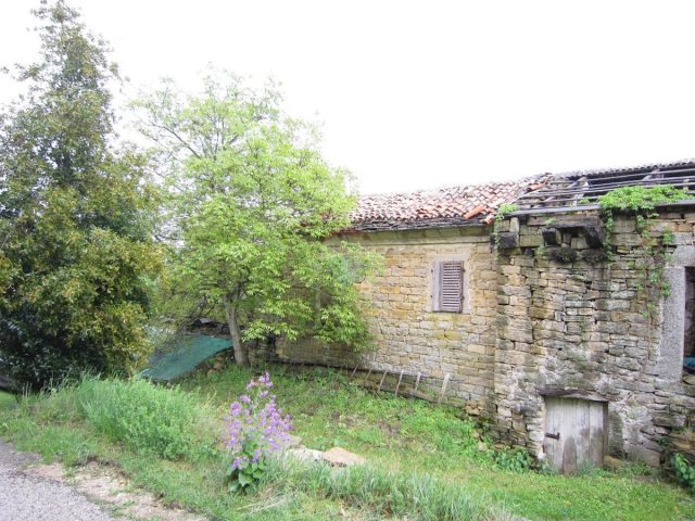 Hiša Naprodaj - Istarska Buje - foto 5/11
