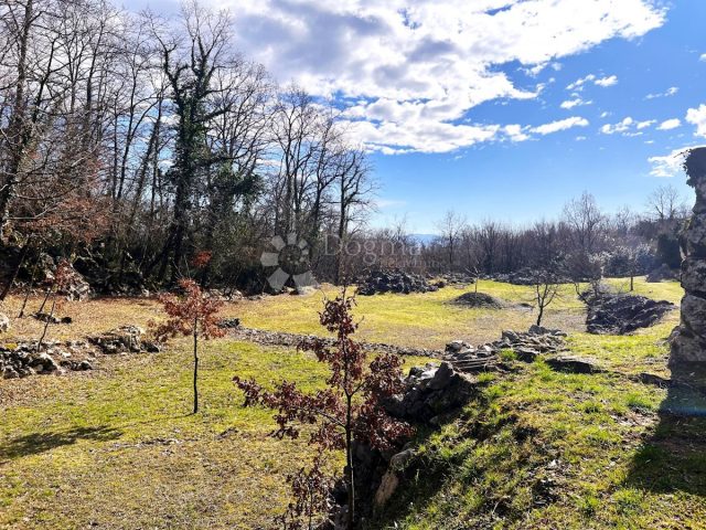 Terrain à vendre 6445 m² – Poljane