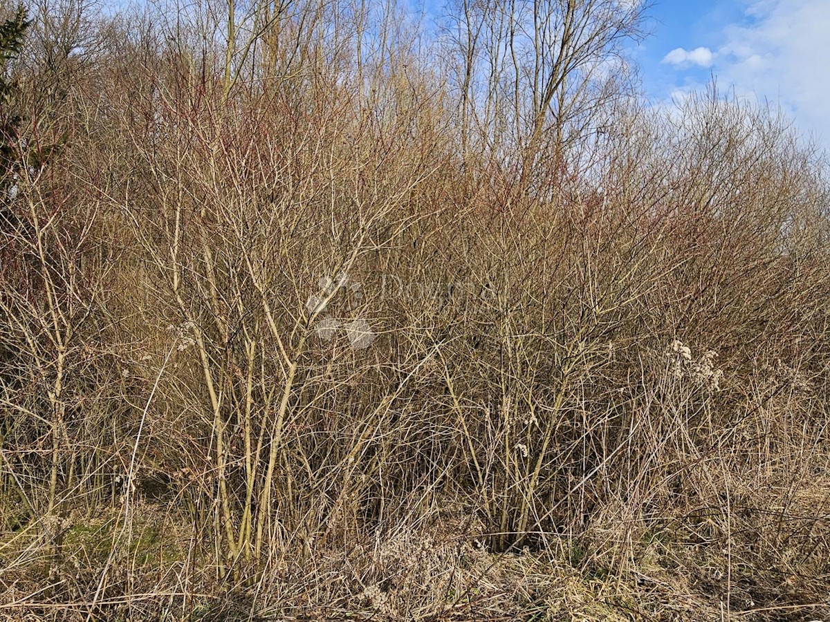 Terreno In vendita - VARAŽDINSKA SVETI ILIJA