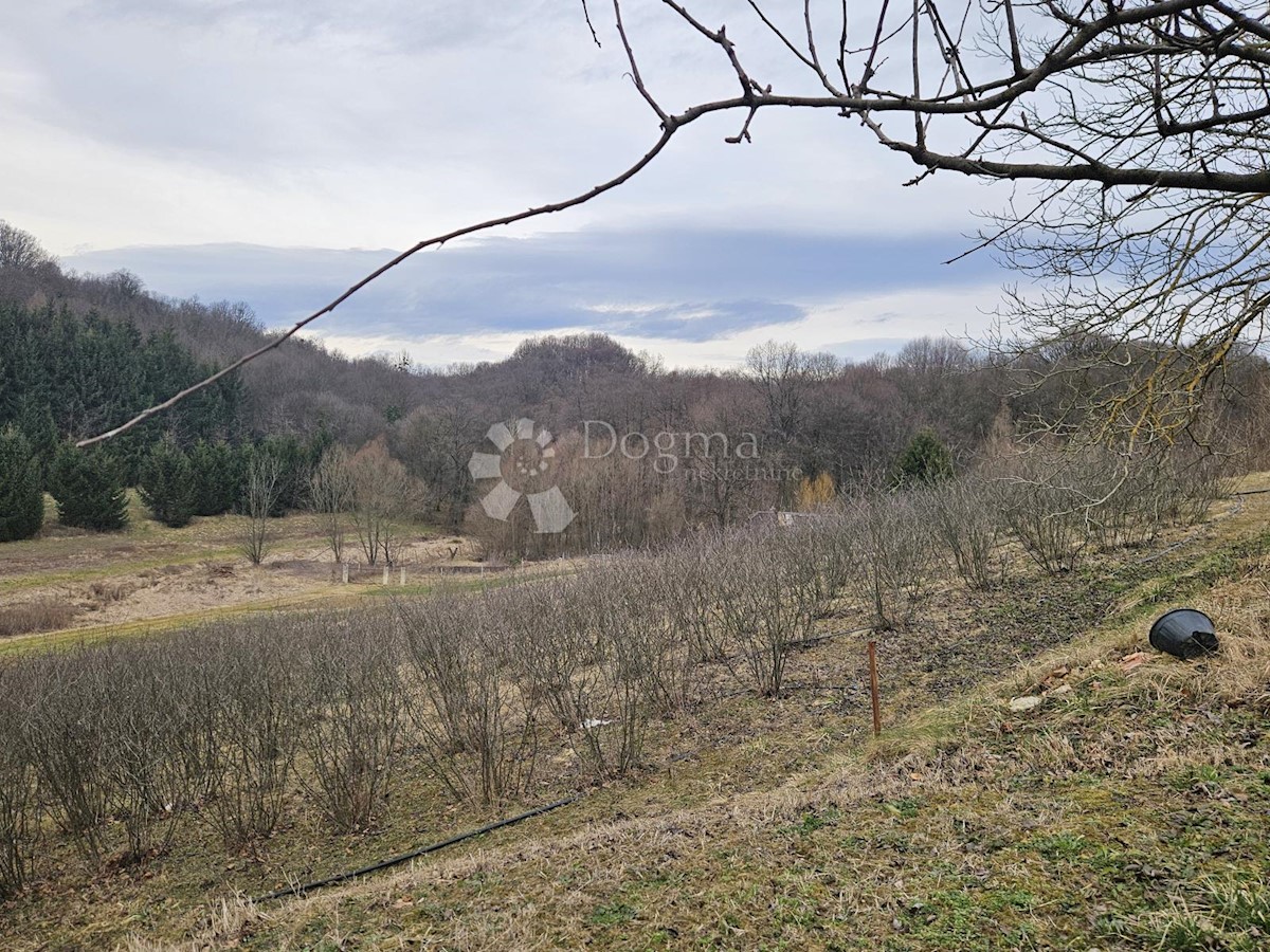 Land For sale - VARAŽDINSKA SVETI ILIJA