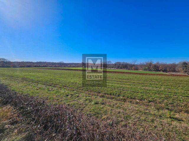 Parcela na predaj 13500 m² – Poreč