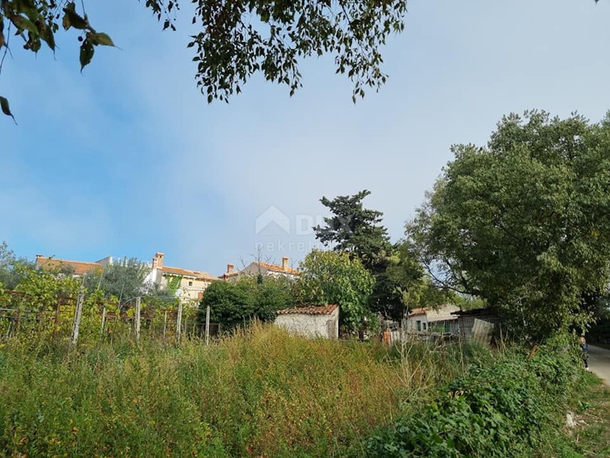 Terreno In vendita - ISTARSKA LIŽNJAN