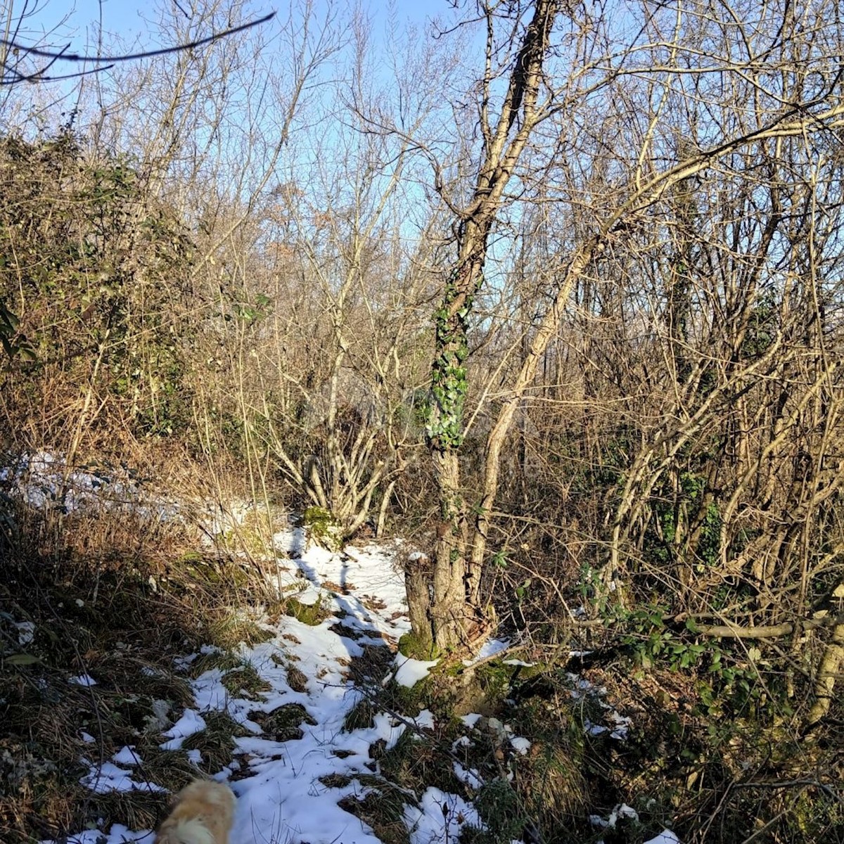 Terreno In vendita - PRIMORSKO-GORANSKA MATULJI