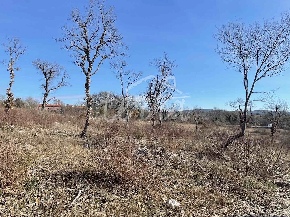 Pozemok Na predaj - ISTARSKA LABIN