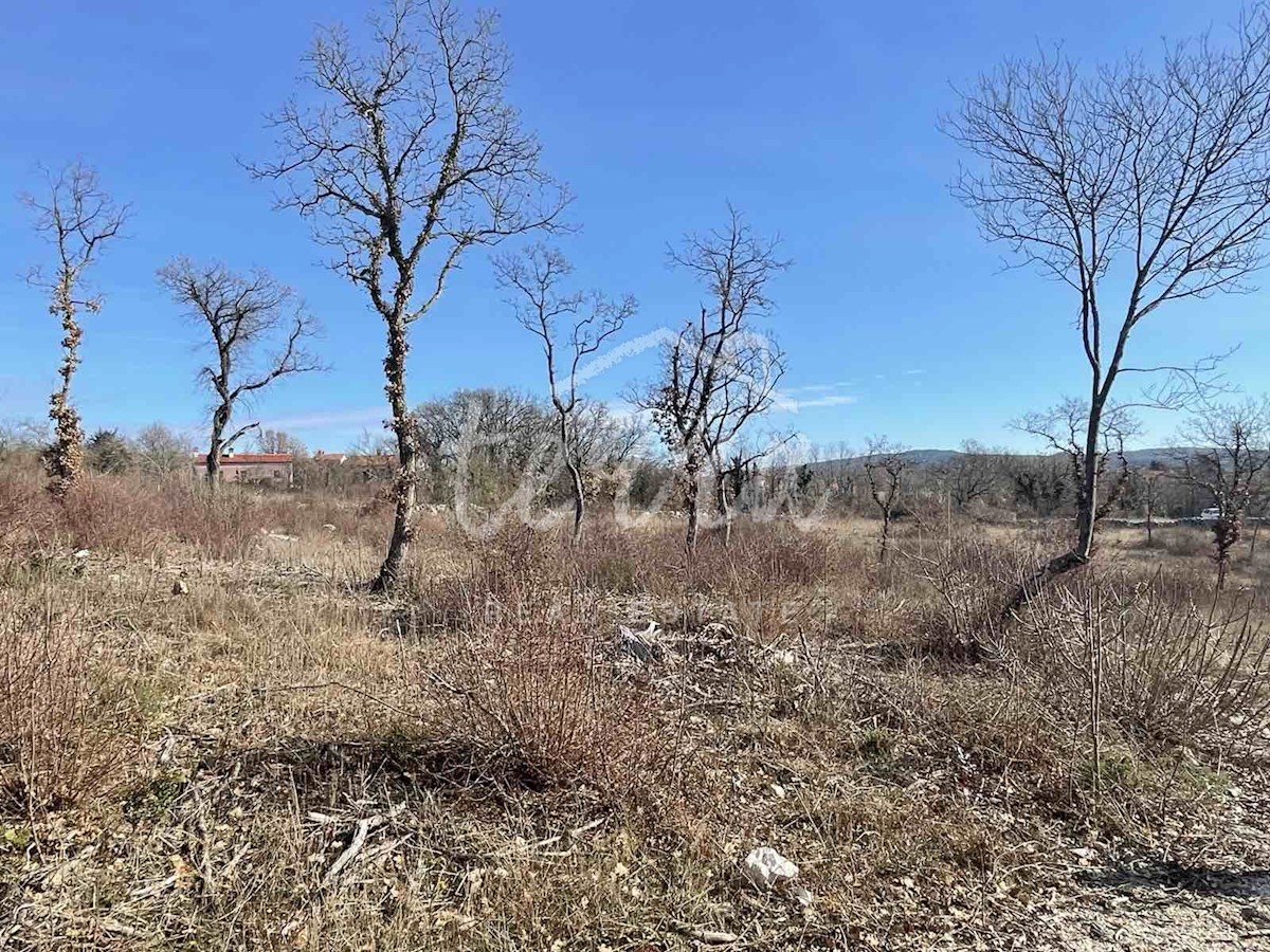 Pozemok Na predaj - ISTARSKA LABIN