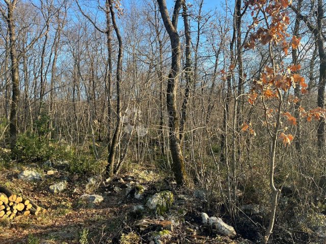 Land For sale - Primorsko-goranska Matulji - foto 2/2