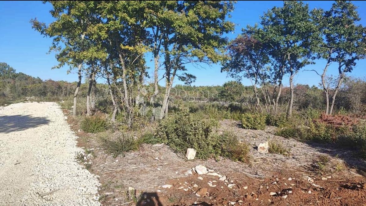 Land For sale - ISTARSKA BALE